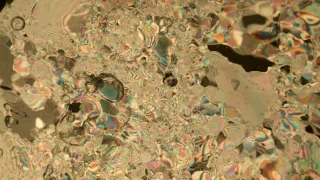 Pozoruhodná planeta Země (1)