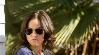 Kriminálka Las Vegas XI (10)