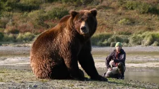 Naši bratři medvědi