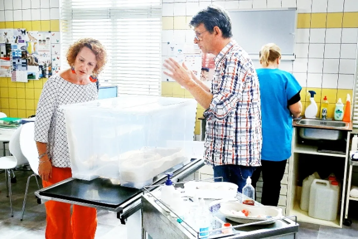 Krejzovi, 2018 - fotogaléria