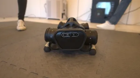 Umělá inteligence a my