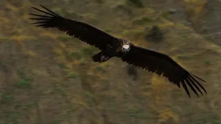 Putování podél moří (1)