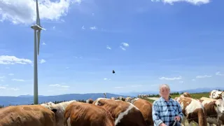 Půvab rakouských hor II