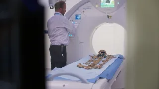 Anatomie ukřižování