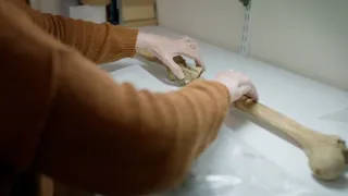 Anatomie ukřižování