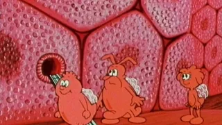 Byl jednou jeden život (13/26)