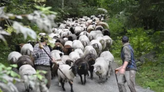 Půvab rakouských hor II