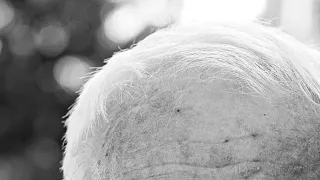 Život hledáčkem Petra Bruknera