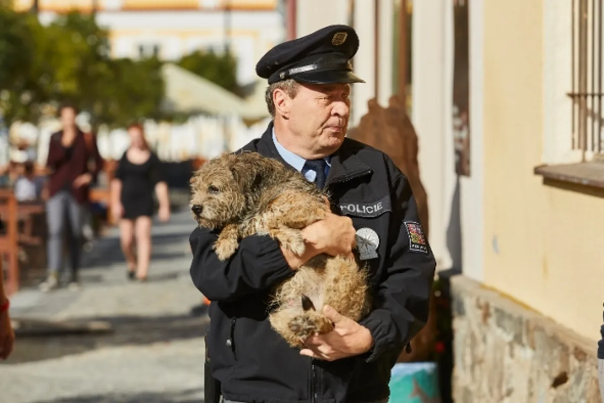 Policie Modrava, 2019 - fotogaléria
