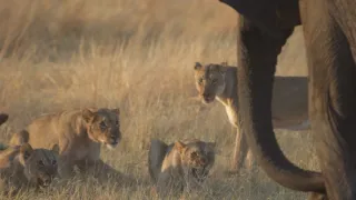 Rok na planetě Zemi (4/6)