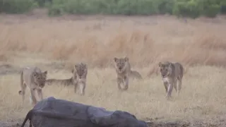 Rok na planetě Zemi (4/6)