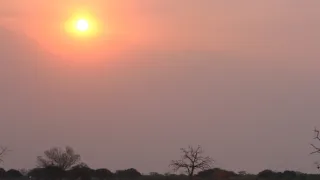 Rok na planetě Zemi (4/6)