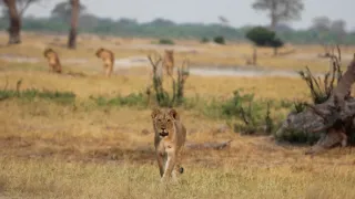 Rok na planetě Zemi (4/6)