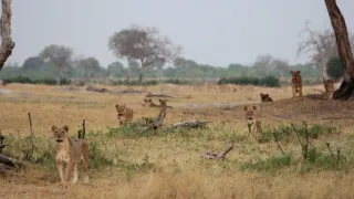 Rok na planetě Zemi (4/6)