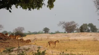 Rok na planetě Zemi (4/6)