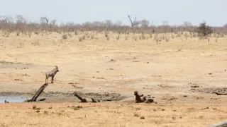 Rok na planetě Zemi (4/6)