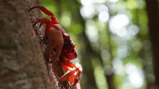 Rok na planetě Zemi (4/6)