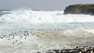 Rok na planetě Zemi (4/6)