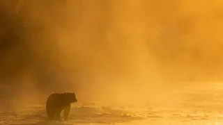 Rok na planetě Zemi (4/6)