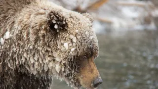 Rok na planetě Zemi (4/6)