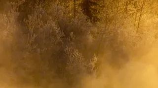 Rok na planetě Zemi (4/6)