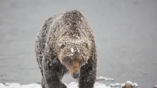 Rok na planetě Zemi (4/6)