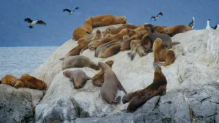 Patagonie - život na konci světa (3/6)