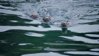 Patagonie - život na konci světa (3/6)