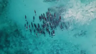 Austrálie z ptačí perspektivy (1/2)