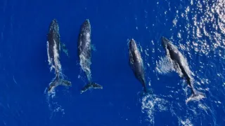 Austrálie z ptačí perspektivy (1/2)