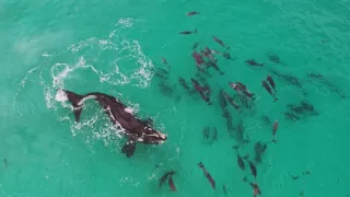 Austrálie z ptačí perspektivy (1/2)