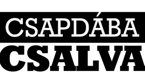 Csapdába csalva II (80)