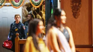 Asfaltová džungľa