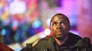 Asfaltová džungľa