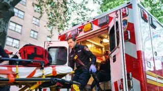 Asfaltová džungľa