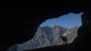 Hohenlohe knieža Tatier