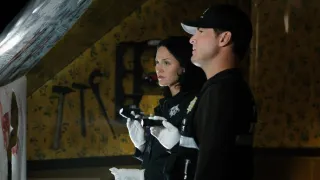 Kriminálka Las Vegas XI (22)