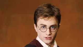 Harry Potter a Fénixův řád