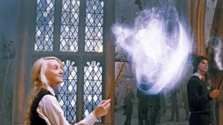 Harry Potter a Fénixův řád