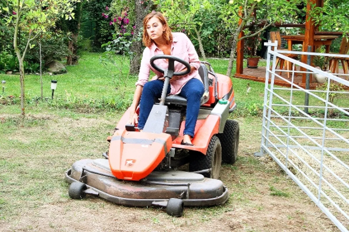 Krejzovi, 2018 - fotogaléria