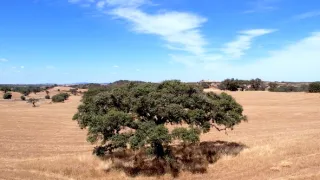 Krásné země z výšky