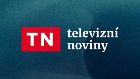 Televizní noviny