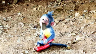 Dora a stratené mesto