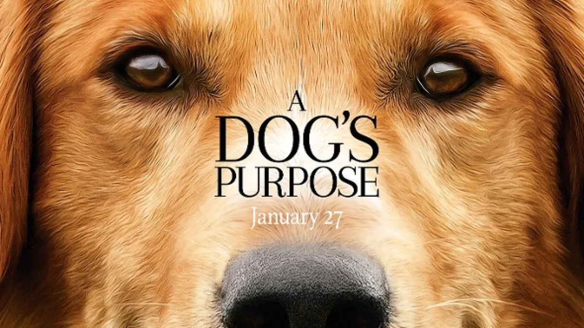 Psia duša (A Dog's Purpose) - fotogaléria