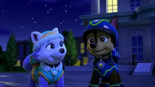 Tlapková patrola IV