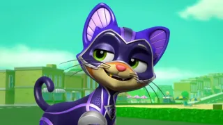 Tlapková patrola IV