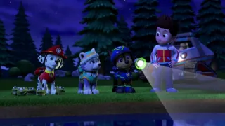 Tlapková patrola IV