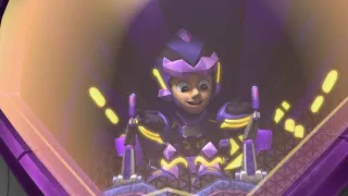 Tlapková patrola IV