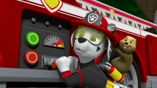 Tlapková patrola IV