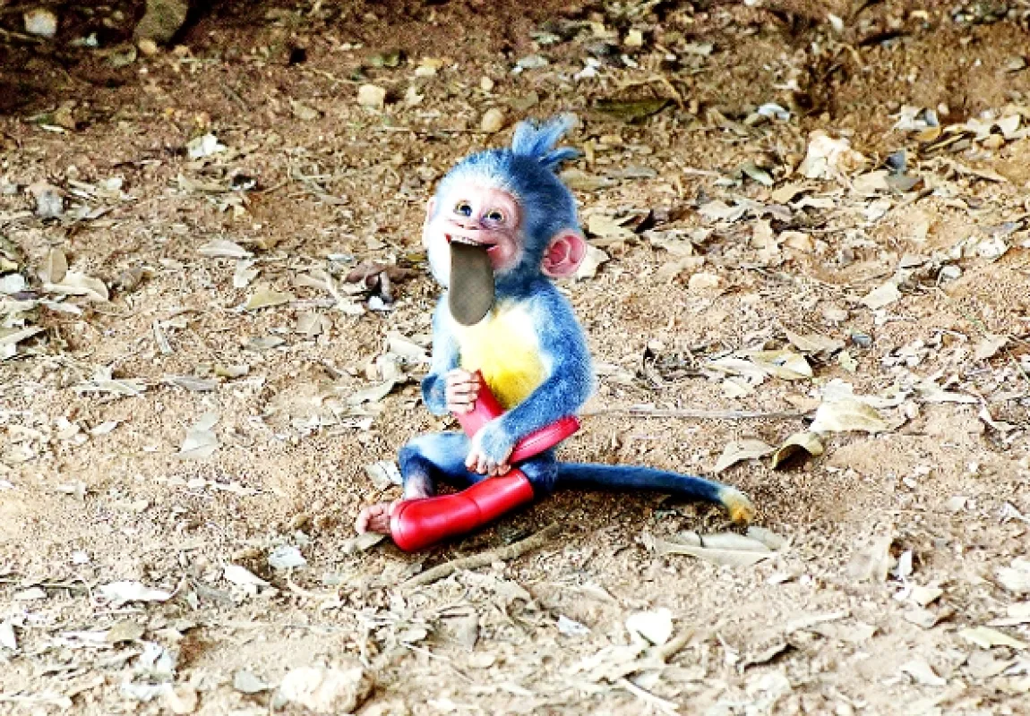 Dora a stratené mesto (Dora and the Lost City of Gold), 2019 - fotogaléria